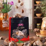 dr biz black garlic2