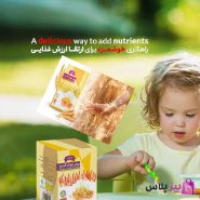 پودر جوانه گندم | برند بین استار دکتر بیز