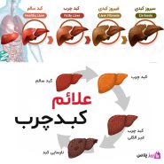 پکیج درمان کبد چرب گیاهی