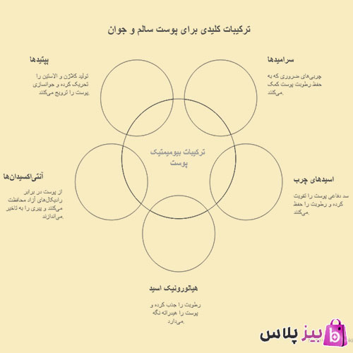 محصولات بیومیمتیک دکتر بیز