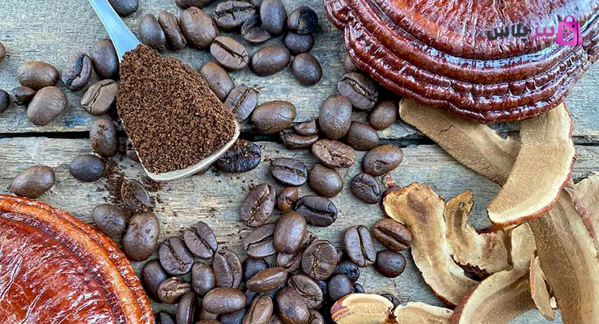 خواص قهوه گانودرما دکتر بیز