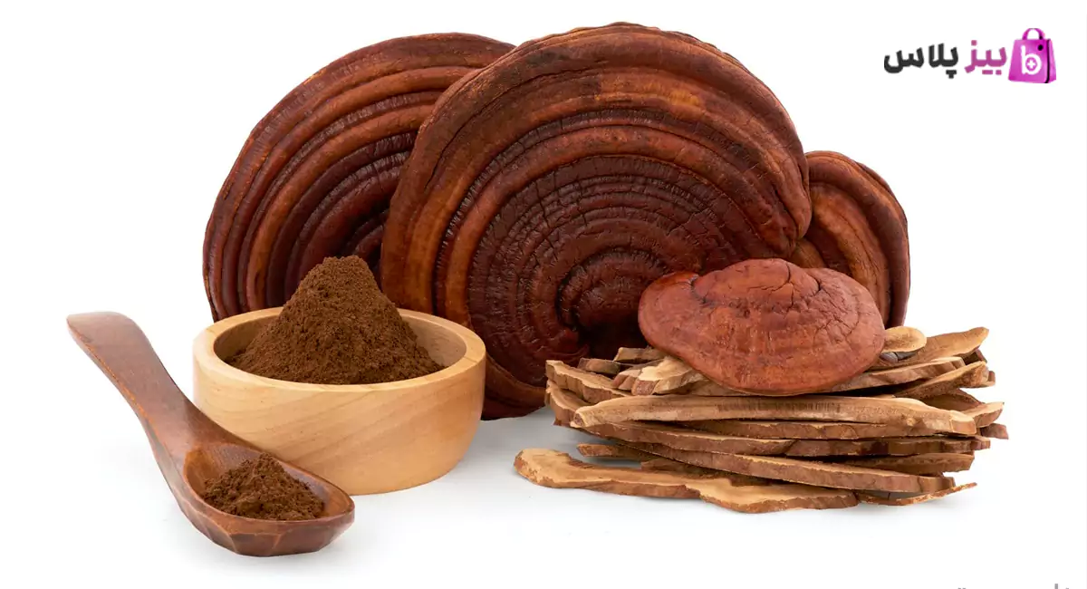 خواص قهوه گانودرما دکتر بیز