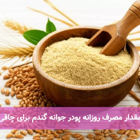 مقدار مصرف روزانه پودر جوانه گندم برای چاقی