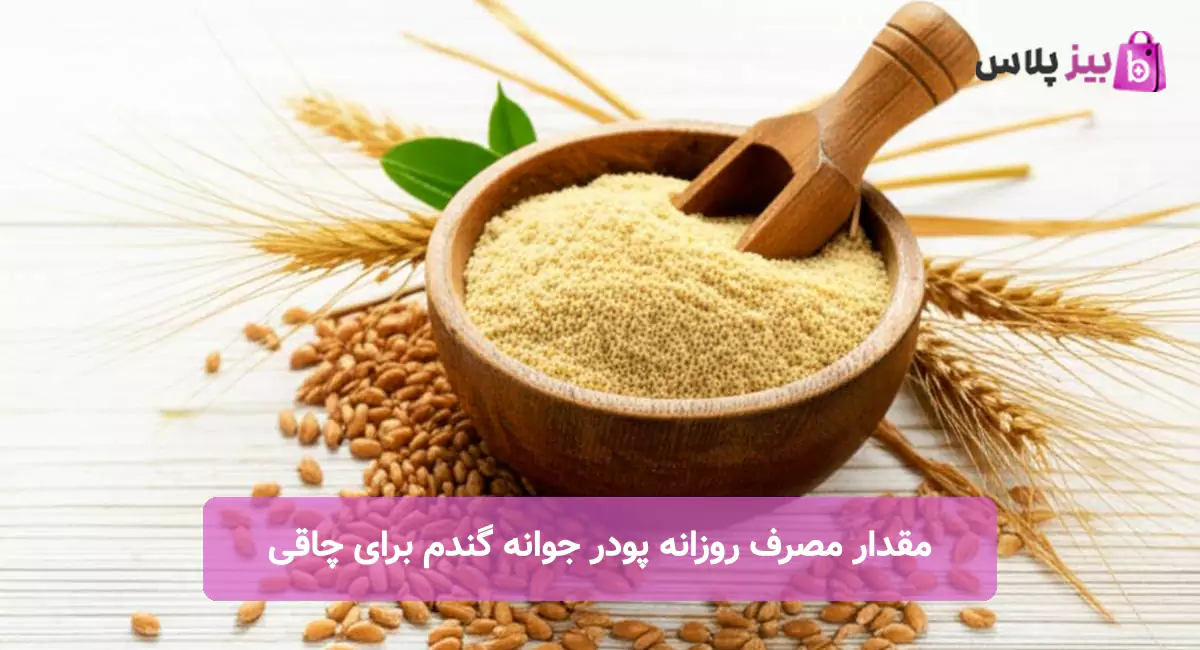 مقدار مصرف روزانه پودر جوانه گندم برای چاقی