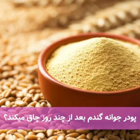 پودر جوانه گندم بعد از چند روز چاق میکند؟