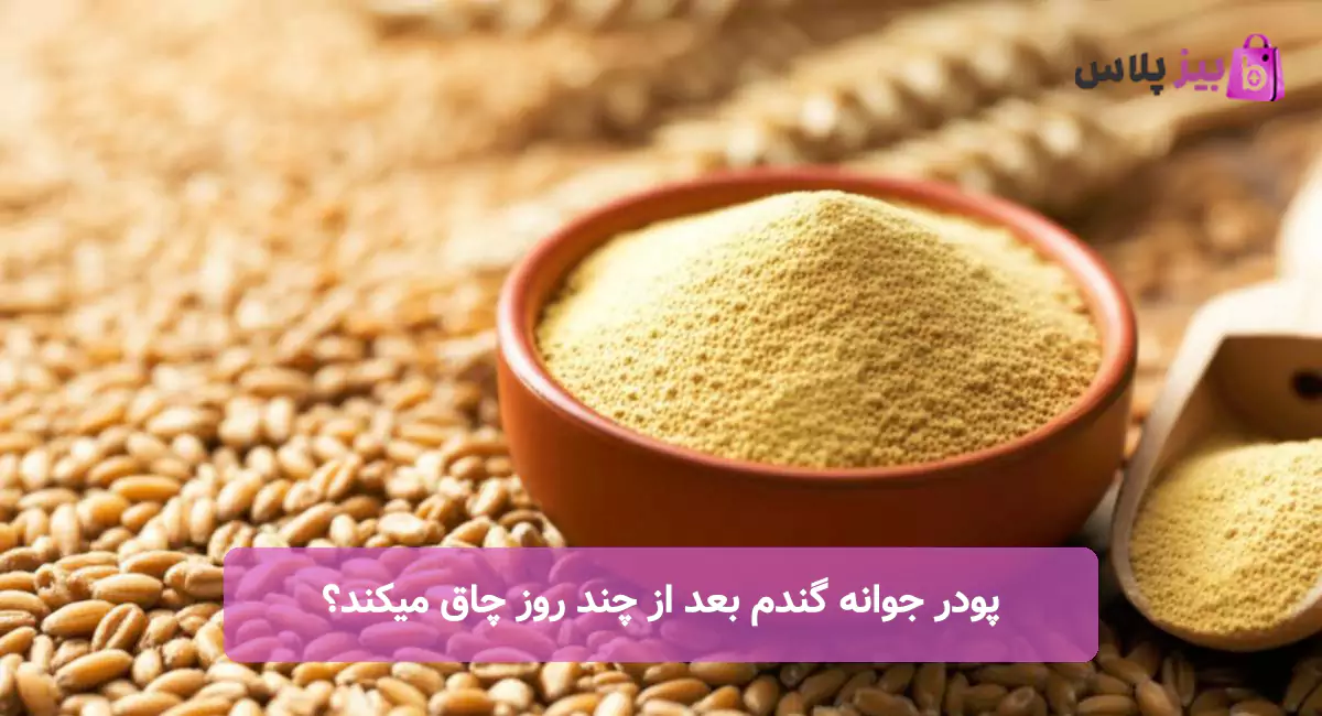 پودر جوانه گندم بعد از چند روز چاق میکند؟