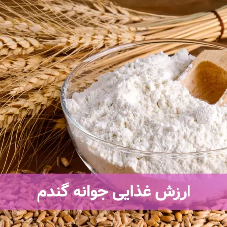 ارزش غذایی جوانه گندم