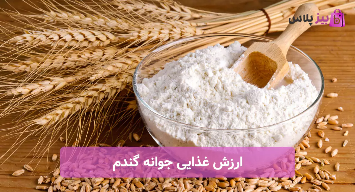 ارزش غذایی جوانه گندم