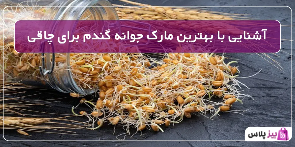 آشنایی با بهترین مارک جوانه گندم برای چاقی