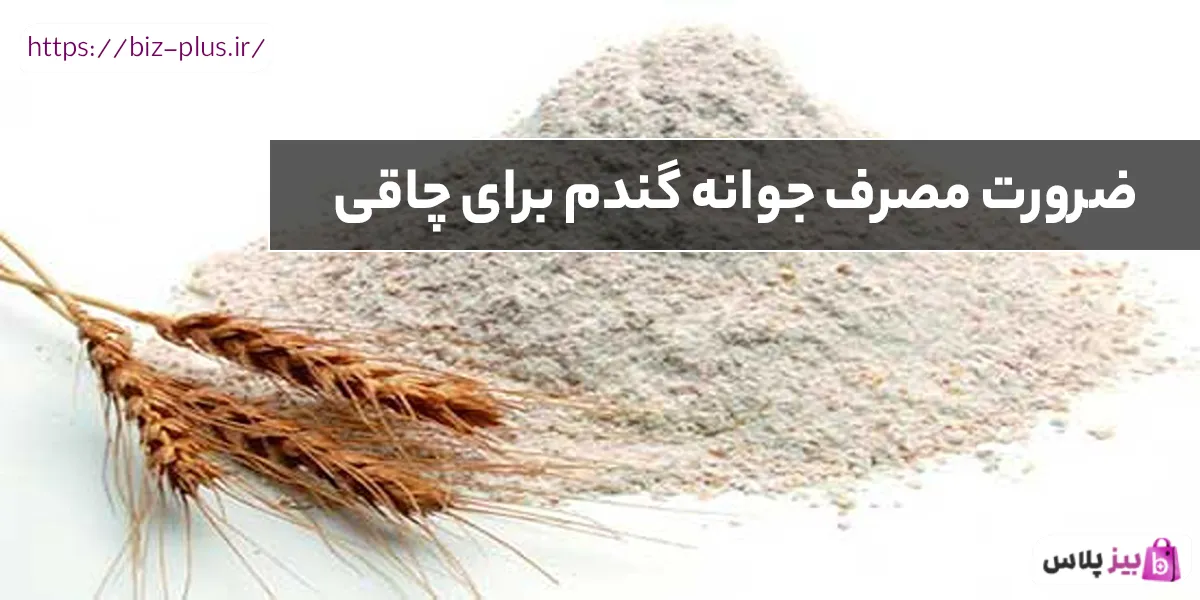 ضرورت مصرف جوانه گندم برای چاقی