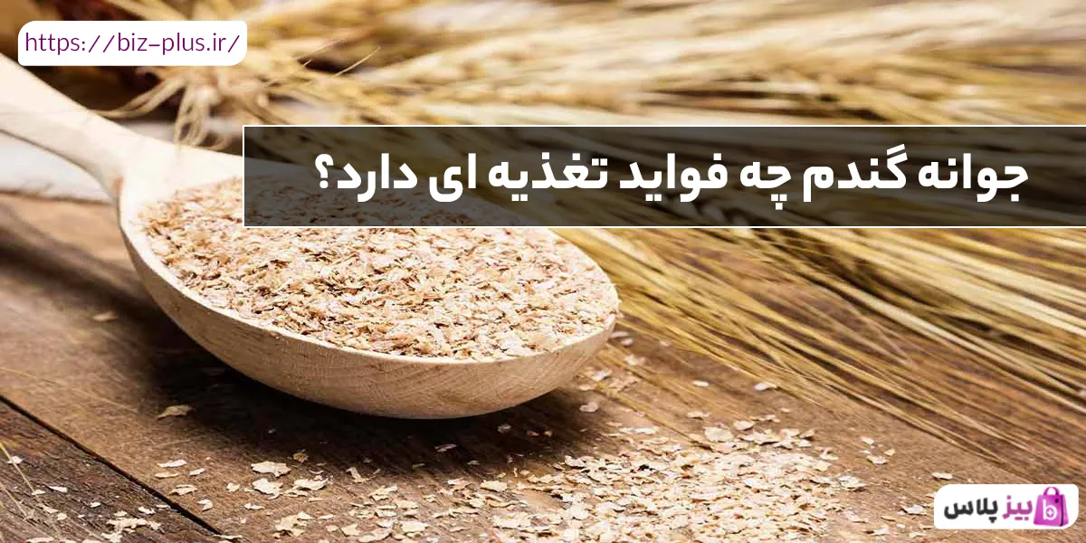 جوانه گندم چه فواید تغذیه ای دارد؟