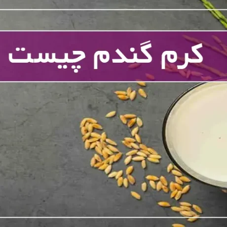 کرم جوانه گندم چیست؟