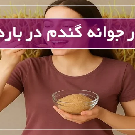 پودر جوانه گندم در بارداری